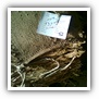 LEAF TOBACCO SHREDDED TOBACCO raw tobacco leaf dark air cured tobacco rustica tobacco FLUE CURED TOBACCO